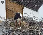 Capi_Dubne_20260506_192003.jpg