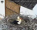 Capi_Dubne_20260506_193502.jpg