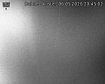 Capi_Dubne_20260506_204502.jpg