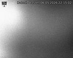 Capi_Dubne_20260506_221502.jpg