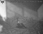 Capi_Dubne_20260506_223503.jpg