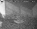 Capi_Dubne_20260506_224502.jpg