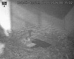 Capi_Dubne_20260507_003502.jpg