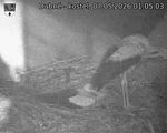 Capi_Dubne_20260507_010503.jpg