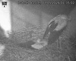 Capi_Dubne_20260507_013502.jpg