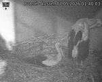 Capi_Dubne_20260507_014003.jpg