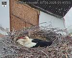 Capi_Dubne_20260507_054503.jpg