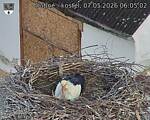 Capi_Dubne_20260507_060503.jpg