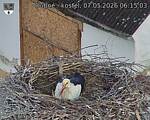 Capi_Dubne_20260507_061503.jpg