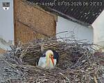 Capi_Dubne_20260507_062003.jpg
