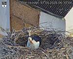 Capi_Dubne_20260507_063004.jpg