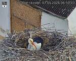 Capi_Dubne_20260507_065003.jpg