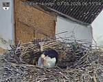 Capi_Dubne_20260507_065504.jpg