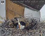 Capi_Dubne_20260507_071004.jpg