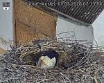 Capi_Dubne_20260507_071504.jpg