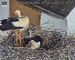 Capi_Dubne_20260507_072003.jpg