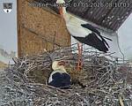 Capi_Dubne_20260507_081003.jpg