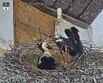 Capi_Dubne_20260507_082004.jpg