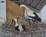 Capi_Dubne_20260507_082502.jpg