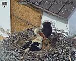 Capi_Dubne_20260507_103502.jpg
