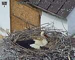 Capi_Dubne_20260507_104003.jpg