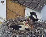 Capi_Dubne_20260507_105504.jpg