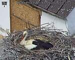 Capi_Dubne_20260507_111503.jpg