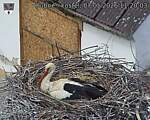 Capi_Dubne_20260507_112003.jpg