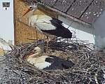 Capi_Dubne_20260507_113503.jpg