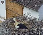 Capi_Dubne_20260507_114003.jpg