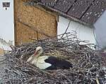 Capi_Dubne_20260507_115503.jpg