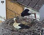 Capi_Dubne_20260507_121503.jpg
