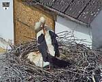 Capi_Dubne_20260507_122503.jpg