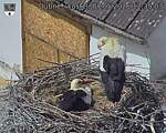 Capi_Dubne_20260507_123503.jpg