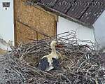 Capi_Dubne_20260507_131502.jpg