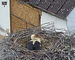 Capi_Dubne_20260507_133002.jpg