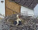Capi_Dubne_20260507_133503.jpg