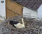 Capi_Dubne_20260507_134503.jpg