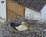 Capi_Dubne_20260507_135004.jpg