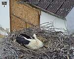 Capi_Dubne_20260507_140503.jpg