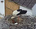 Capi_Dubne_20260507_141003.jpg