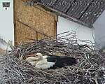 Capi_Dubne_20260507_141503.jpg