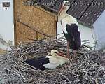 Capi_Dubne_20260507_143003.jpg