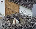 Capi_Dubne_20260507_145503.jpg