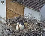 Capi_Dubne_20260507_150004.jpg