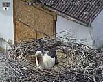 Capi_Dubne_20260507_151003.jpg