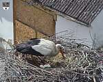 Capi_Dubne_20260507_152003.jpg
