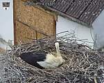 Capi_Dubne_20260507_152503.jpg