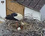 Capi_Dubne_20260507_153002.jpg