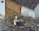Capi_Dubne_20260507_153503.jpg
